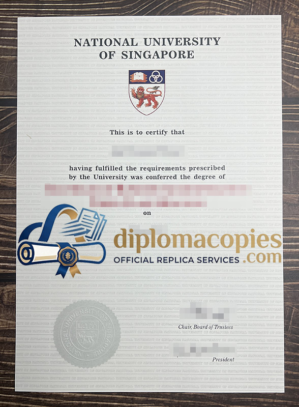 National University of Singapore degree