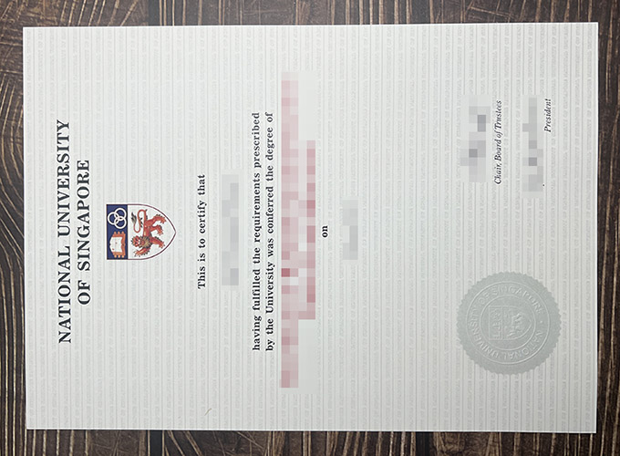 National University of Singapore certificate