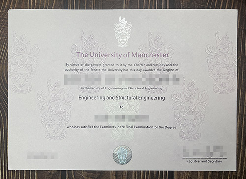 University of Manchester degree