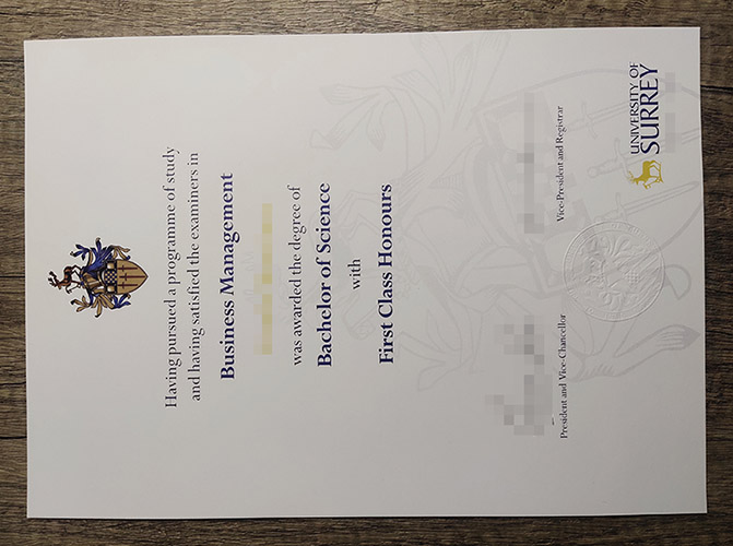University of Surrey degree
