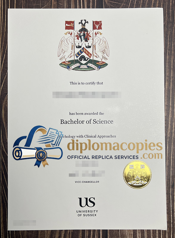 University of Sussex degree