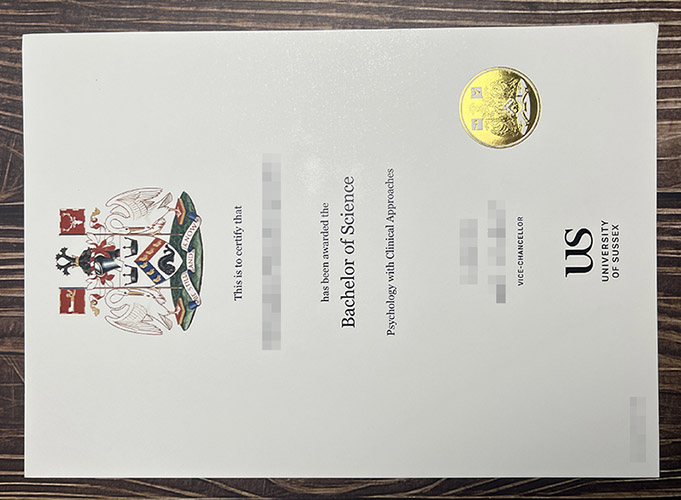 University of Sussex degree